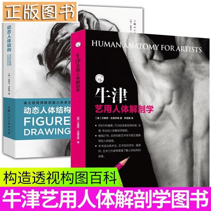 【2册】牛津艺用人体解剖学+动态人体结构:迪士尼导师教你画人体姿态 人物人体素描速写书籍 上海人美社