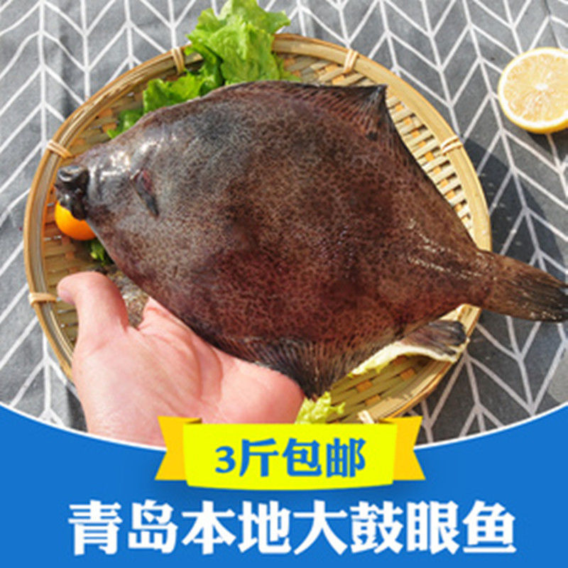宏嘉睿 青岛鼓眼鱼鲜活古眼鱼新鲜高眼鱼比目鱼每斤3条海鲜批发
