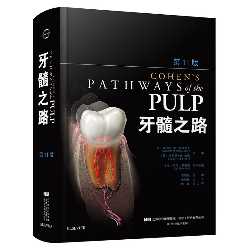 牙髓之路 第十一版高性价比高么？