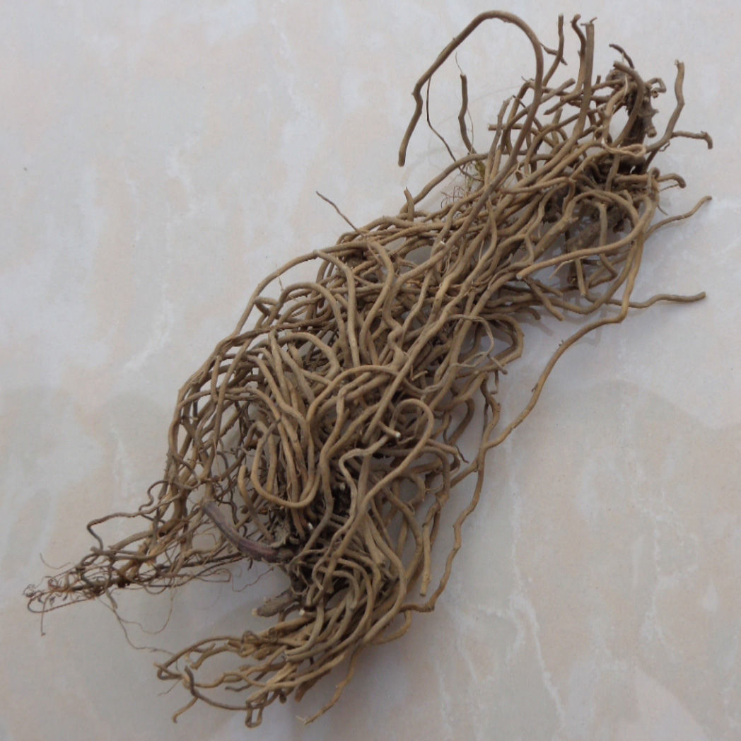 中药材 四块瓦 剪草 四叶对 四对草 银线草 四叶细辛万根丹灯笼花 250