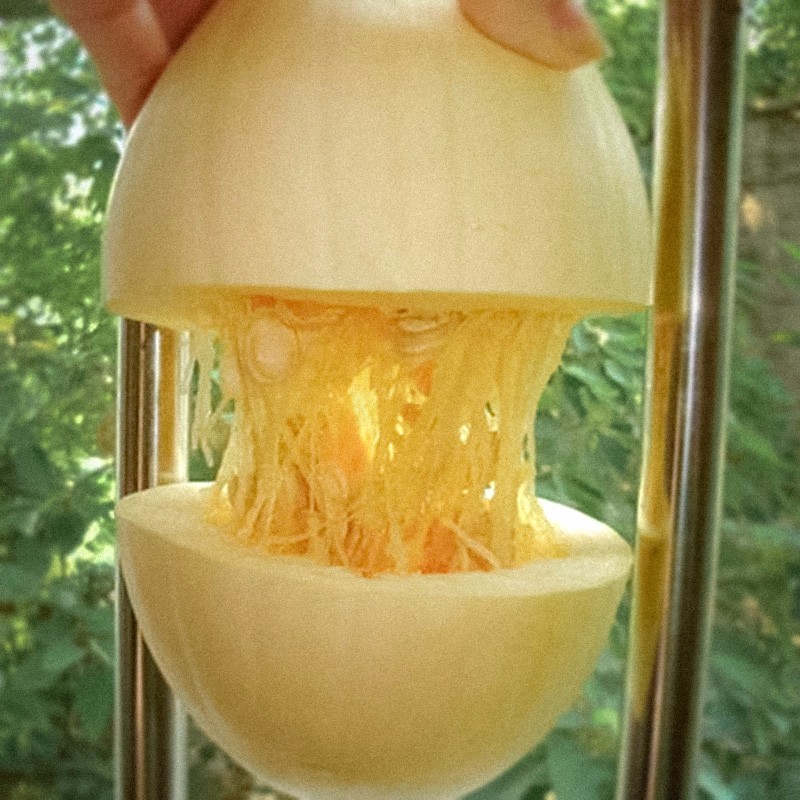 寿禾 金丝搅瓜金丝瓜种子春冬季播种角瓜绞瓜种籽四季播粉丝瓜菜籽 拍