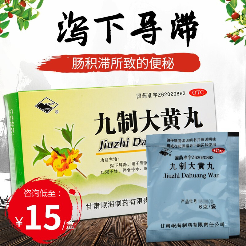 岷州九制大黄丸10袋湿热小便赤黄口渴不休胃肠积滞 标准装:1盒【咨询