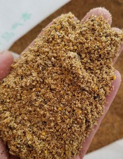 剖析揭秘新宠之康鸟料饲料质量好吗，了解三星期感受分享