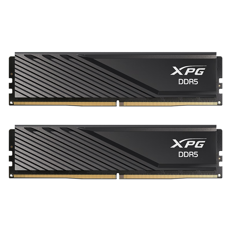 威刚（ADATA）XPG威龙D300 DDR5台式机内存条海力士Adie颗粒ddr5内存条C28时序台式主机升级游戏超频9800X3D专用 【C28/Adie】6000 16G*2 黑色