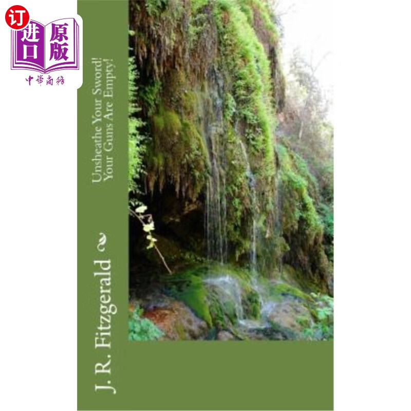 海外直订unsheathe your sword! your guns are empty! 拔出你的剑!