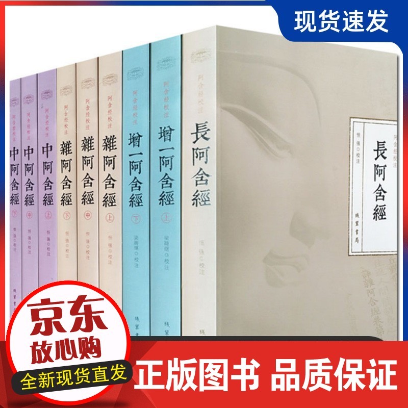 阿含经校注(全九册) 杂阿含经上中下 中