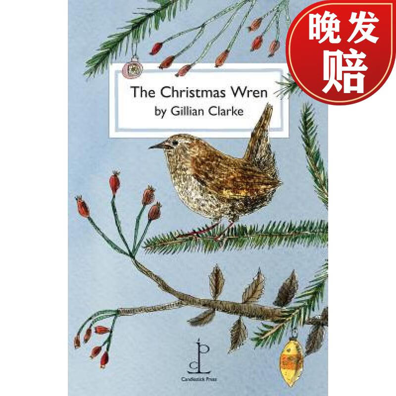 【4周达】the christmas wren