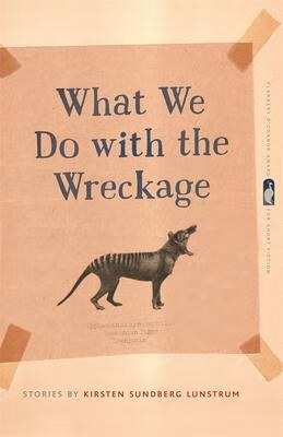 预订what we do with the wreckage: stories
