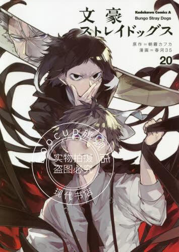 现货 进口日文 漫画 文豪野犬 文豪ストレイドッグス 20