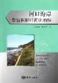 河口海岸数值模拟可视化编程【正版图书】