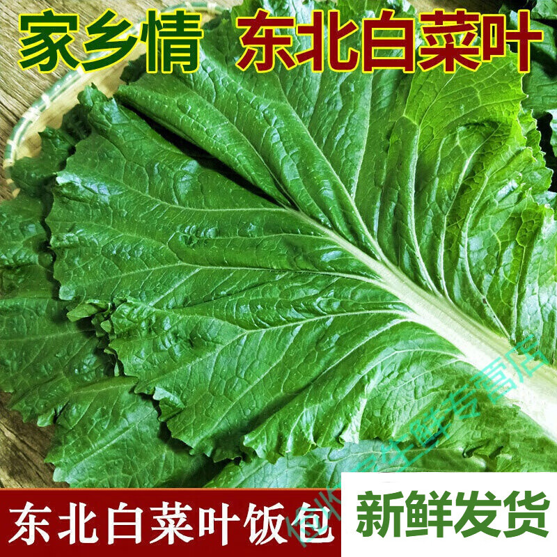 鹿凌青白菜叶饭包东北大白菜叶子新鲜蘸酱蔬菜大饭包打饭包菜叶发顺丰 20片白菜叶无酱【发顺丰】