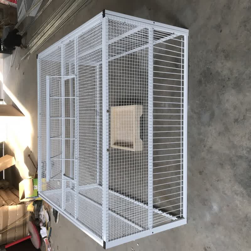 clcey加密收鸽笼天落笼只进不出鸽子笼自动跳门撞门笼鸽子用品用具