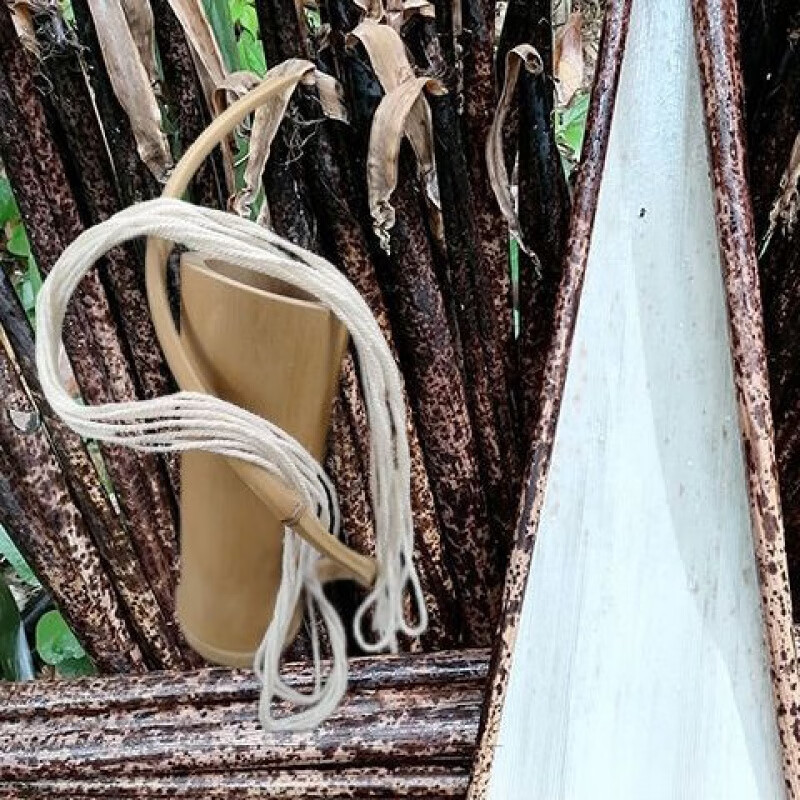 望蓝川重庆寿竹壳新鲜斑竹壳大张粽叶端午包粽子黄粑叶竹叶四川笋叶宽