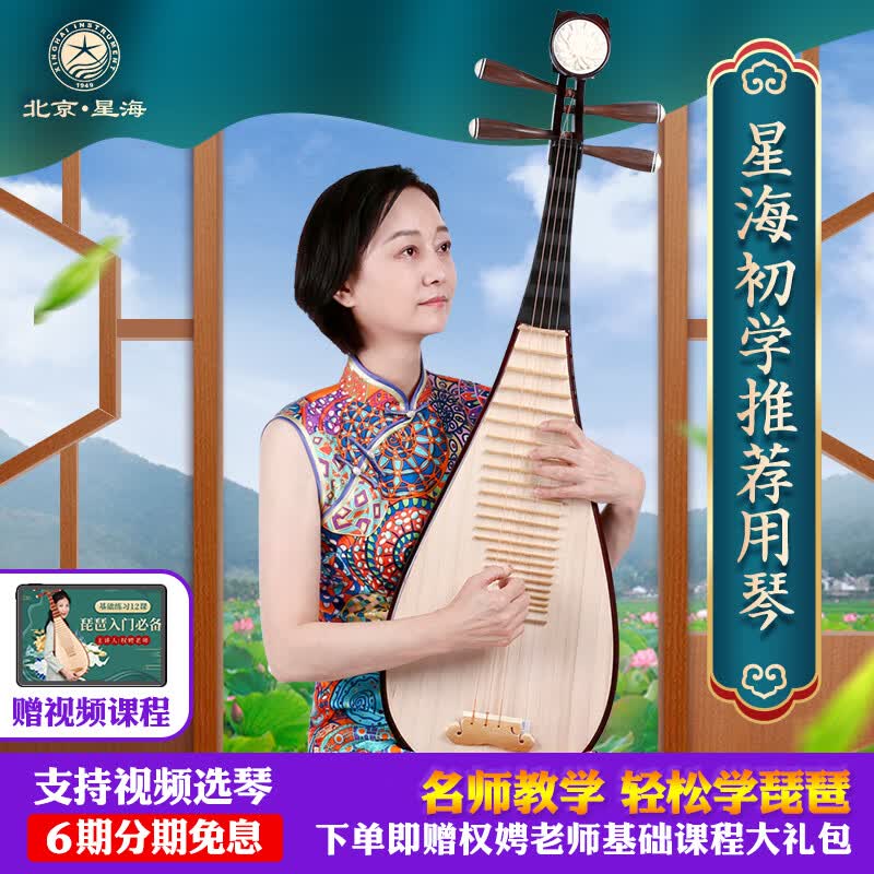 星海 琵琶乐器初学成人儿童色木练习演奏素面典雅图案琵琶 8911-1属于什么档次？