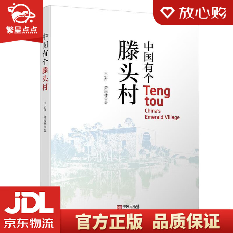 中国有个滕头村 王宏甲,萧雨林 宁波出版社