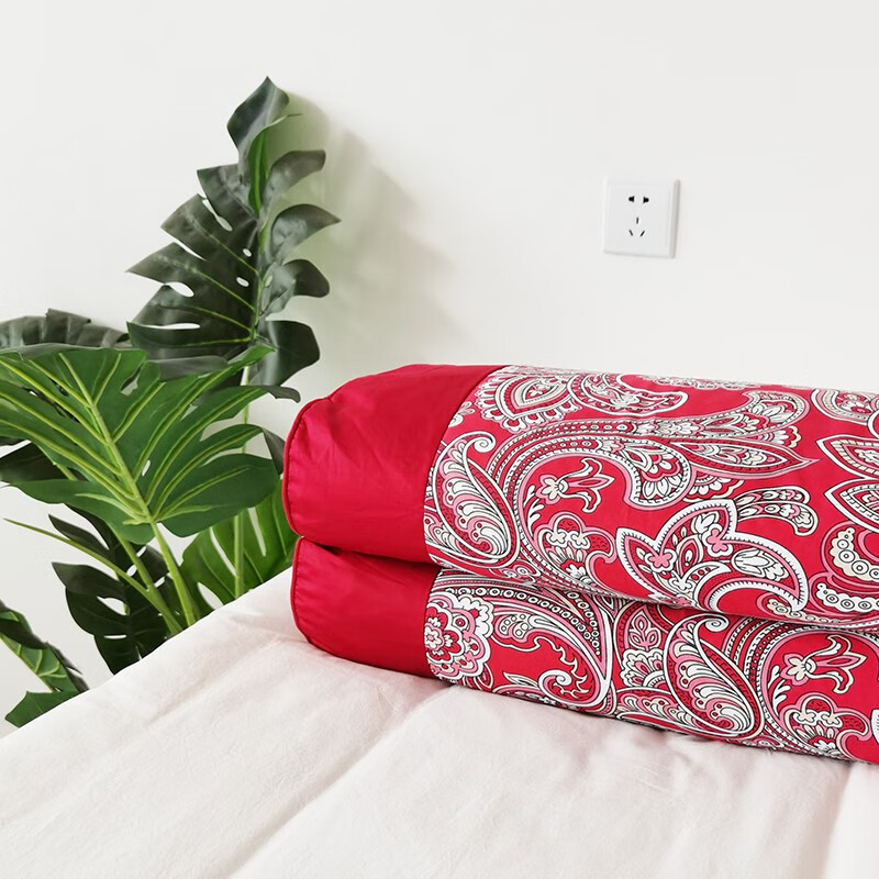 柳庭 家纺 荞麦枕头枕芯60贡缎纯棉面料一对颈椎枕 如意（一对） 一对装（长50cm*宽25cm*高12cm）