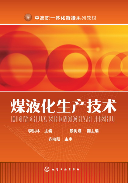 煤液化生产技术 李洪林 主编