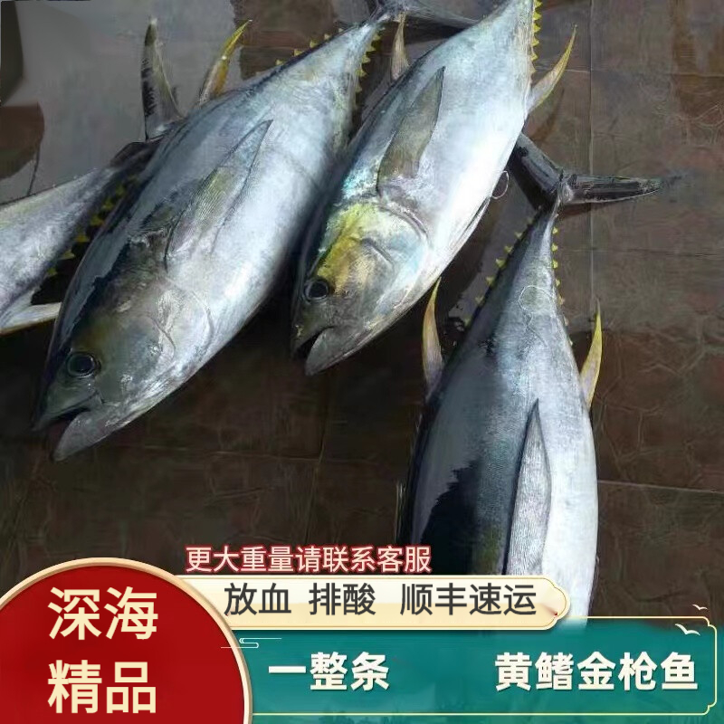 芳玫深海整条黄鳍金枪鱼可刺身可煮可生煎金枪鱼黄旗金枪鱼块速冻冰鲜