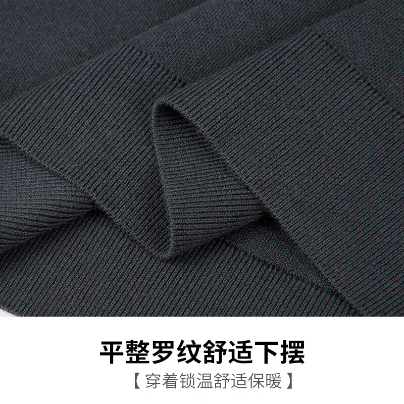 才子（TRIES）圆领毛衣男士春秋新款男装提花套头针织衫螺纹领毛衫毛衣打底衫 深灰色 L 48(170/88A)