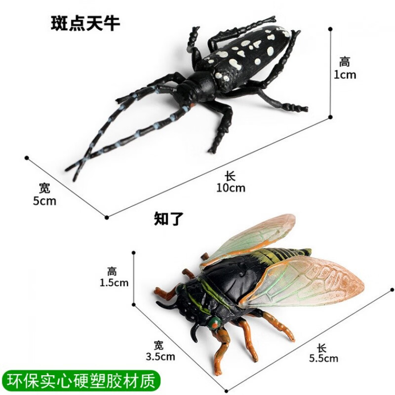 昆虫3d模型 仿真儿童认知玩具螳螂蚂蚱蟋蟀知了蜻蜓天牛蝴蝶七星瓢虫