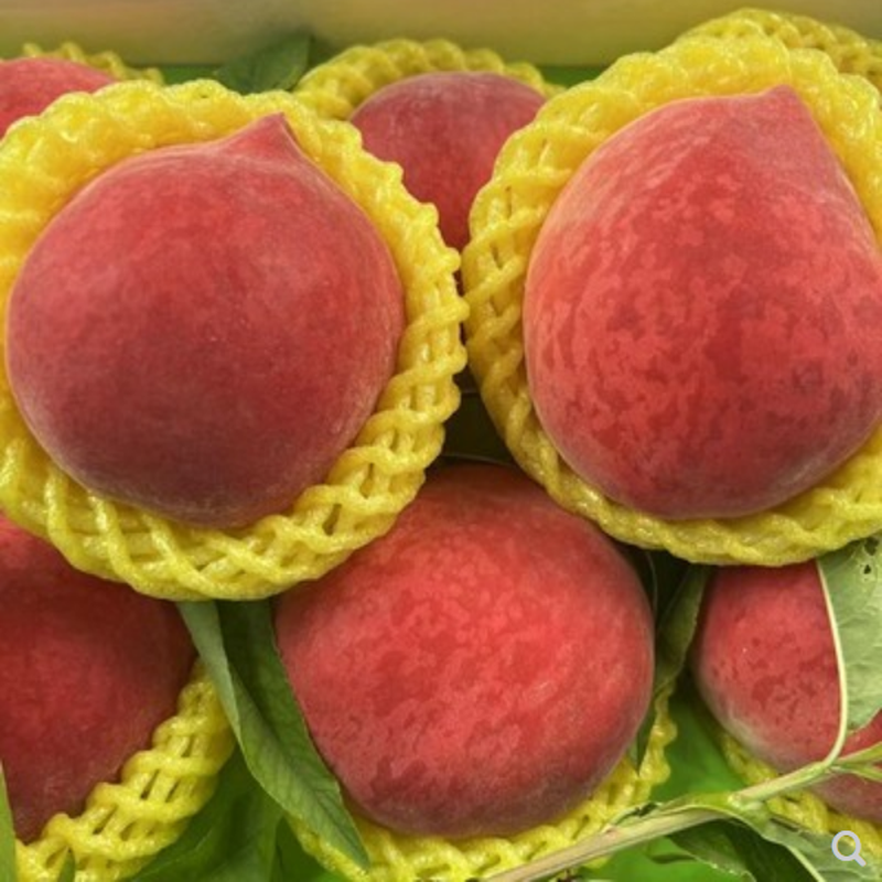 北京水蜜桃特大果甜蜜多汁桃子寿桃当季新鲜孕妇水果 3斤特大果