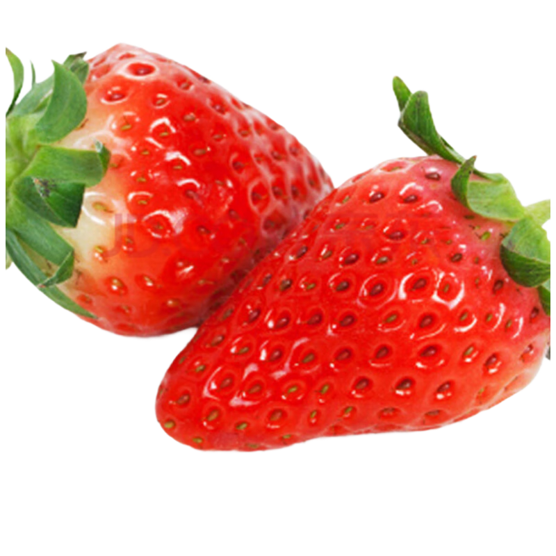趣尝鲜章姬草莓 单果20g+ 净重250g 1号会员店 源头直发 一件包邮