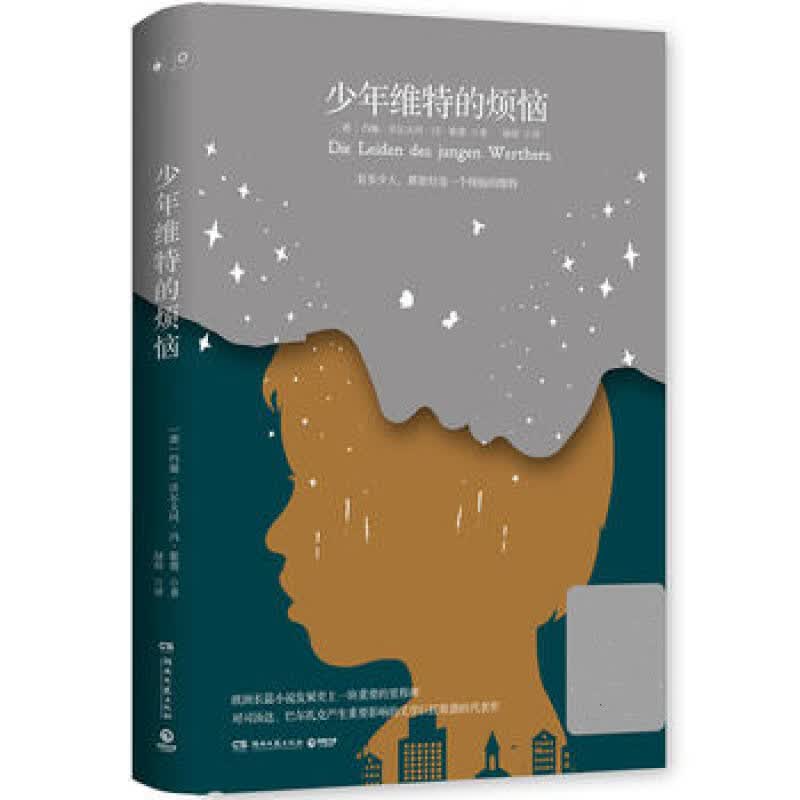 少年维特的烦恼(2019)