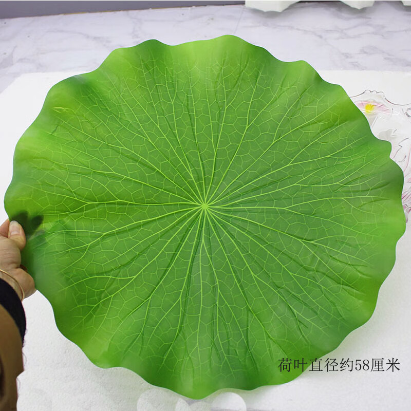筏芯仿真荷叶塑料莲叶子水果食物装饰芭蕉叶树叶道具荷花海鲜冰台摆盘