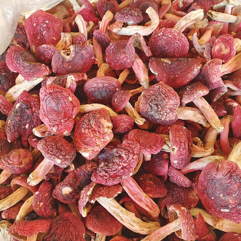 禾澹野生大红菇干货 煲汤味道鲜美云南山珍蘑菇菌类保障稀有山货 250g