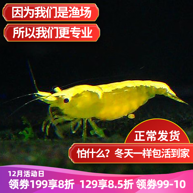 电商水族活体价格变化查询|水族活体价格走势图