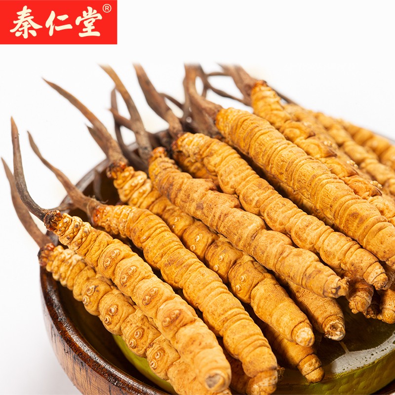 秦仁堂高洁净虫草:食用方便、品质过硬、价格合理