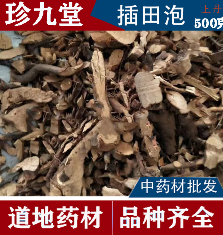 中药材  插田泡 (回头龙 倒生根 两头忙 乌龙毛 乌龙须) 500克有仁堂