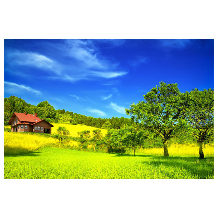 蓝天草地海报大自然风景挂画厨房自粘海报贴画墙贴蓝天背景图房间梦