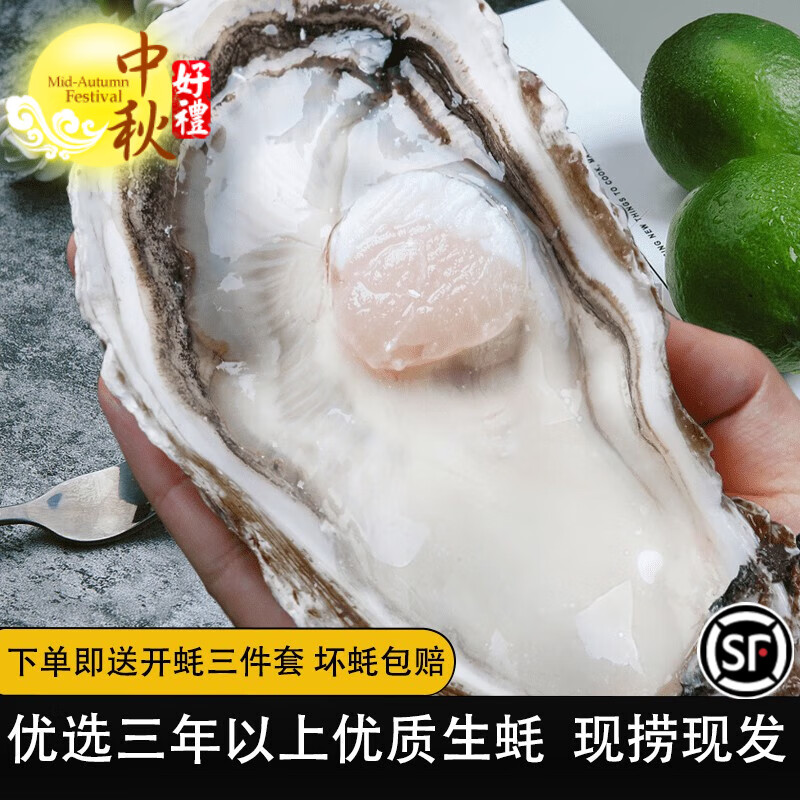 鲁禧 乳山生蚝鲜活6XL特大牡蛎 山东地标产品 新鲜海蛎子 刺身级生蚝 【霸王蚝】6XL号净重4.5斤装高性价比高么？