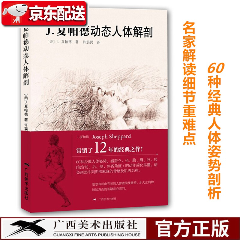 J.夏帕德动态人体解剖(彩色版)初学者艺