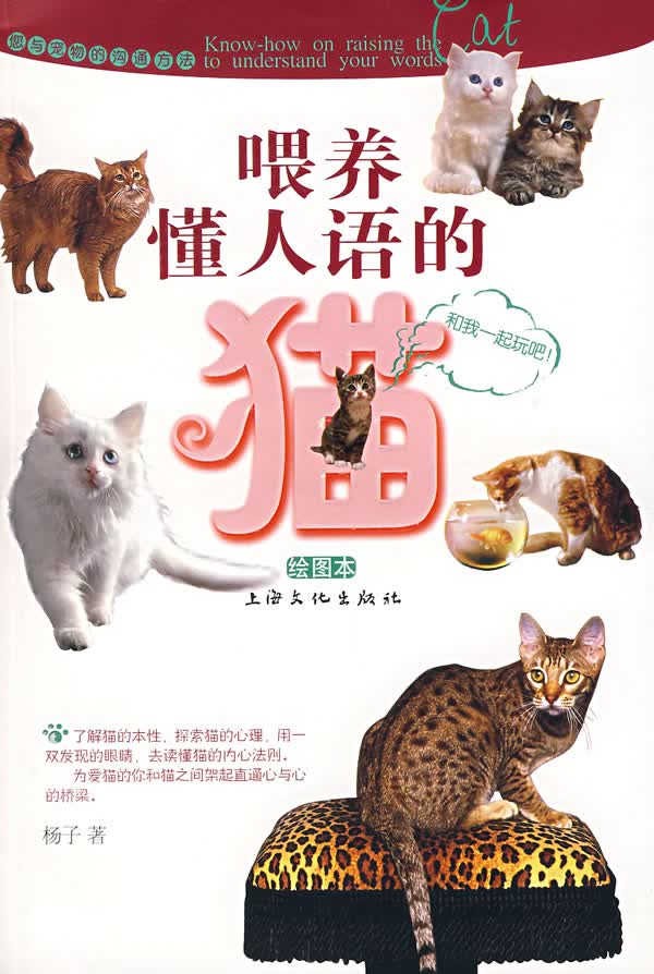 喂养懂人语的猫(绘图本)【正版图书】