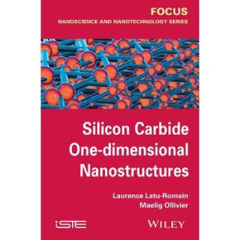预订 silicon carbide one-dimensional nanostructures