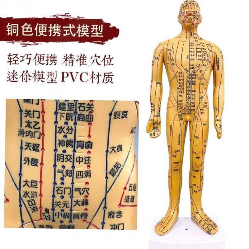 全身铜人清淅练习模型刻字十二经络图小皮人 铜色35cm男模 手臂可转