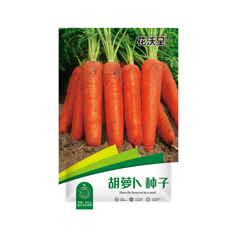 花沃里 胡萝卜种子10g 蔬菜种子四季蔬菜种籽速成菜阳台盆栽庭院田间种植