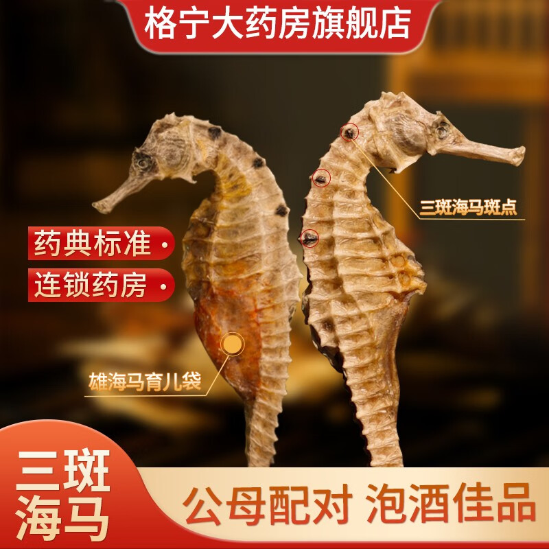 格宁大海马 三斑海马 公母配对 中药材干货一对 男性滋补泡酒药材煲汤