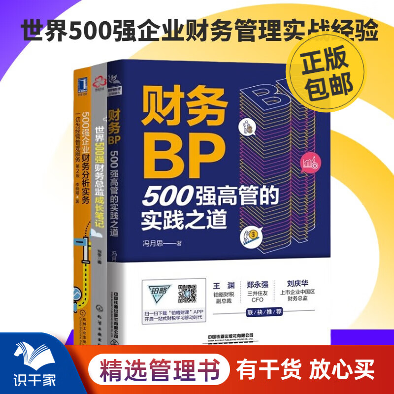 500强企业财务实践3本套：财务BP：500强高管的实践之道+世界500强财务总监成长笔记+500强企业财务分析实务 识干家C/企业财务报表书籍团购送朋友礼物