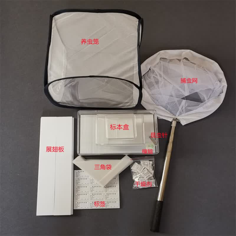 昆虫标本制作工具套装针插标本标本盒展翅板展翅镊昆虫针教学仪器实验