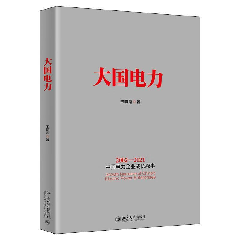 大国电力 宋明霞 北京大学出版社 978
