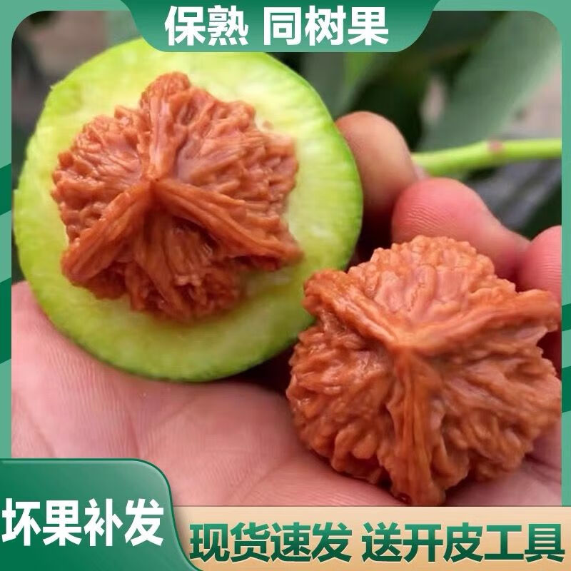 青皮文玩核桃运气开三棱麒麟纹官帽四座楼大奔三菱白狮子南疆石 青皮官帽盘山四座楼55-58mm发2个