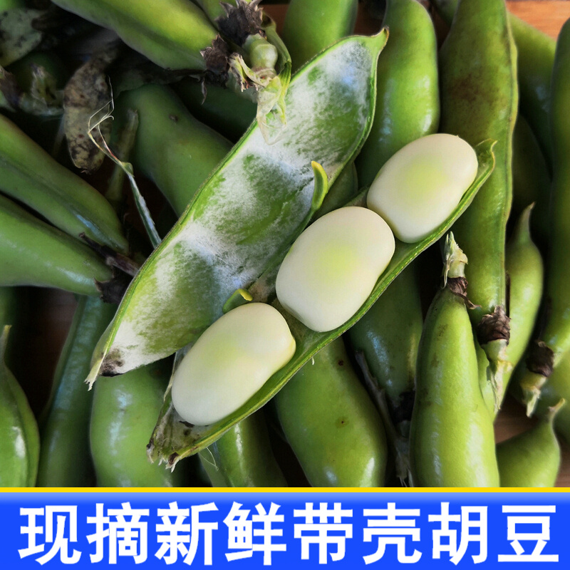 蚕豆新鲜 胡豆带壳蔬菜 农家罗汉豆 5斤