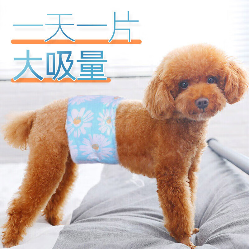 真实比较华元宠具（hoopet）宠物纸尿裤值不值得买，立马分享感受