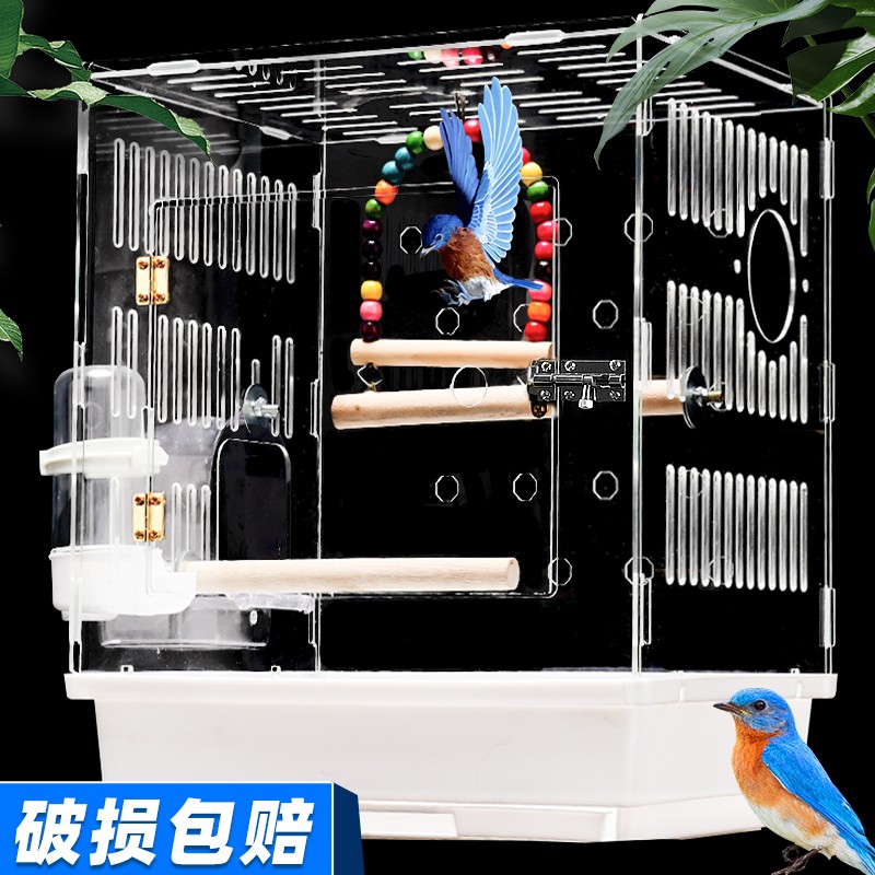 了解说说茨格曼亚克力鸟笼指教，告知半个月真相分享