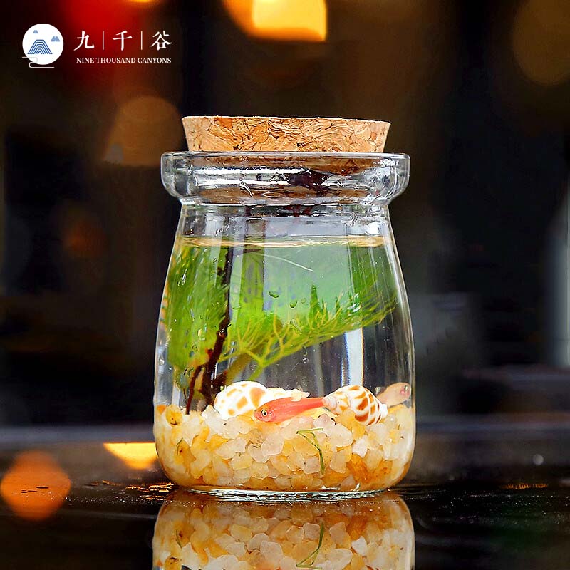 九千谷 微景观生态瓶 装饰创意植物盆栽水族办公室桌面趣味科学造景摆件 布丁珍珠砂(小鱼款)9096属于什么档次？