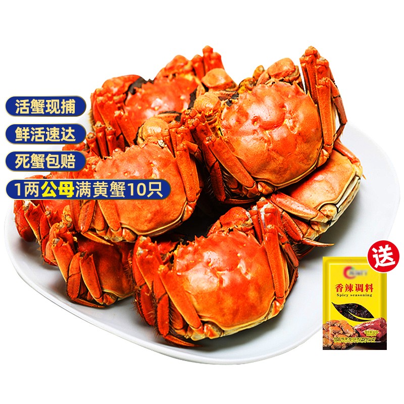 蟹家长-高质量的蟹类产品，让您感受海洋美食的魅力|看蟹类历史价格