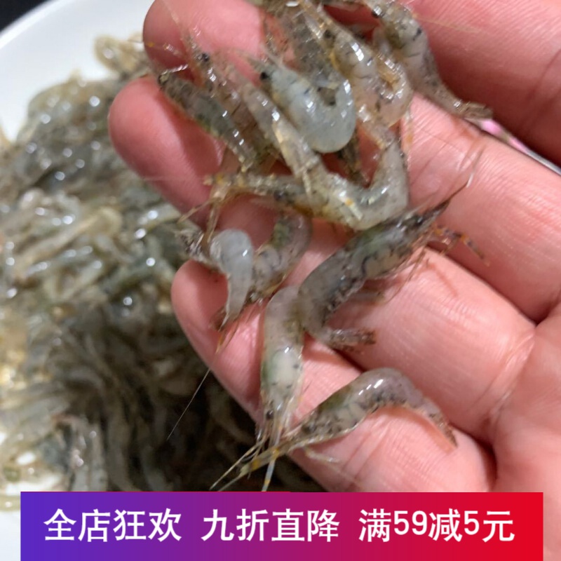 小河虾淡水鲜活河虾活体速冻现捕小青虾河流小白虾冰鲜虾食用 河虾